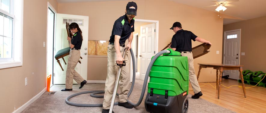 Doctor Phillips , FL cleaning services