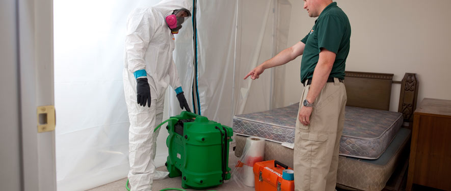 Doctor Phillips , FL mold removal process